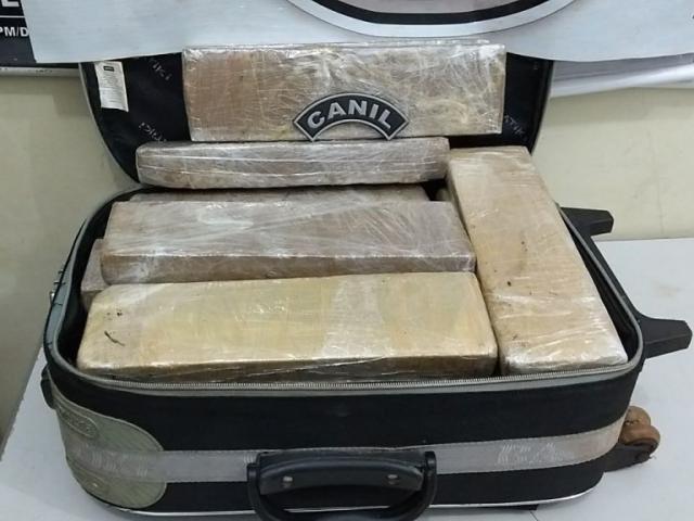 A mala estava recheada com 20 tabletes de maconha,
totalizando 15,5 quilos. (Foto: Divulgação)
